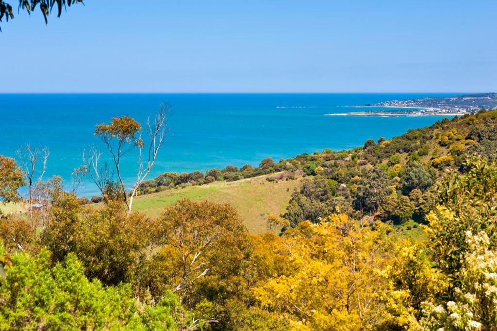 Beacon Point Ocean View Villas Skenes Creek Exteriér fotografie