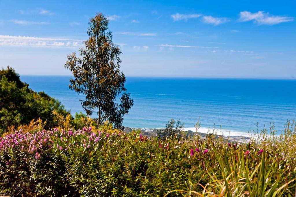 Beacon Point Ocean View Villas Skenes Creek Exteriér fotografie