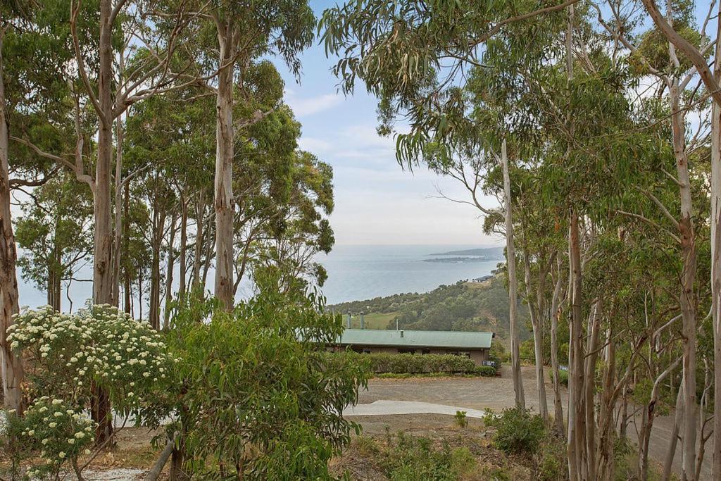 Beacon Point Ocean View Villas Skenes Creek Exteriér fotografie